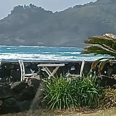 Profile image of 메이블