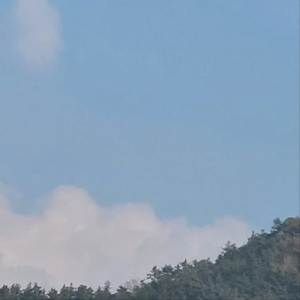 sasalen2719의 하루토