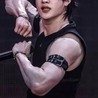 JollyPea1812의 SKZ stage incident