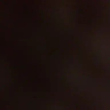 Profile image of 용과드래곤 쿠키