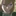 リュー・リオン