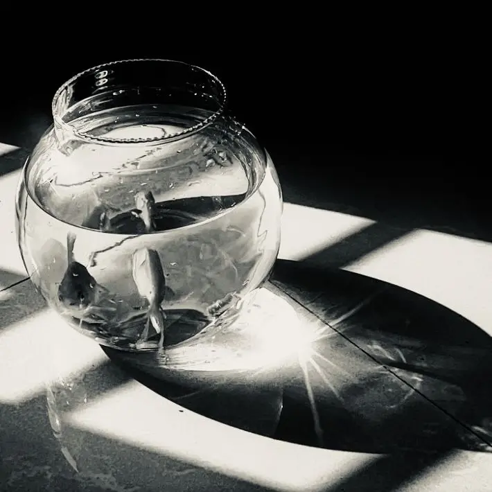 DrearyBin9093의 헨