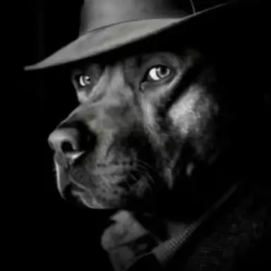 Profile image of Max