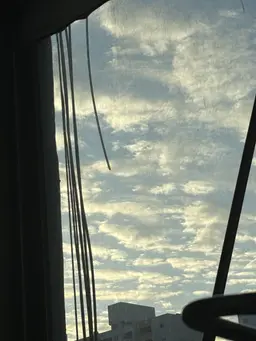 Profile image of 하 승재