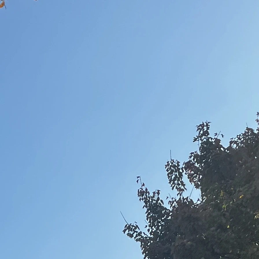 김준구