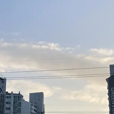 Profile image of 늑대