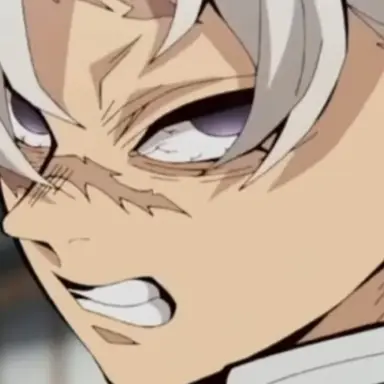 Profile image of 시나즈가와 사네미