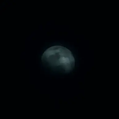 Profile image of 놀고싶은 달