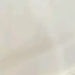 Profile image of 평학