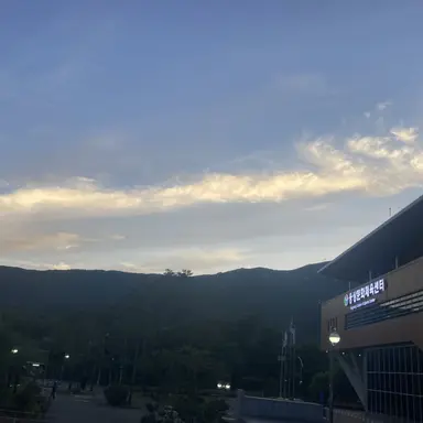 Profile image of 핑크퐁