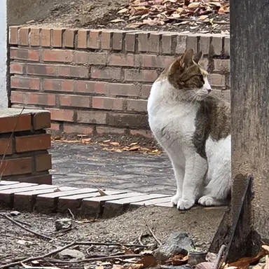 Profile image of 해람