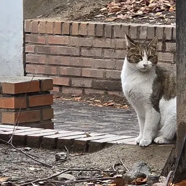 Profile image of 준석