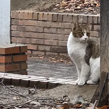 Profile image of 서혁