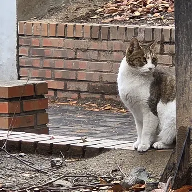 Profile image of 하람