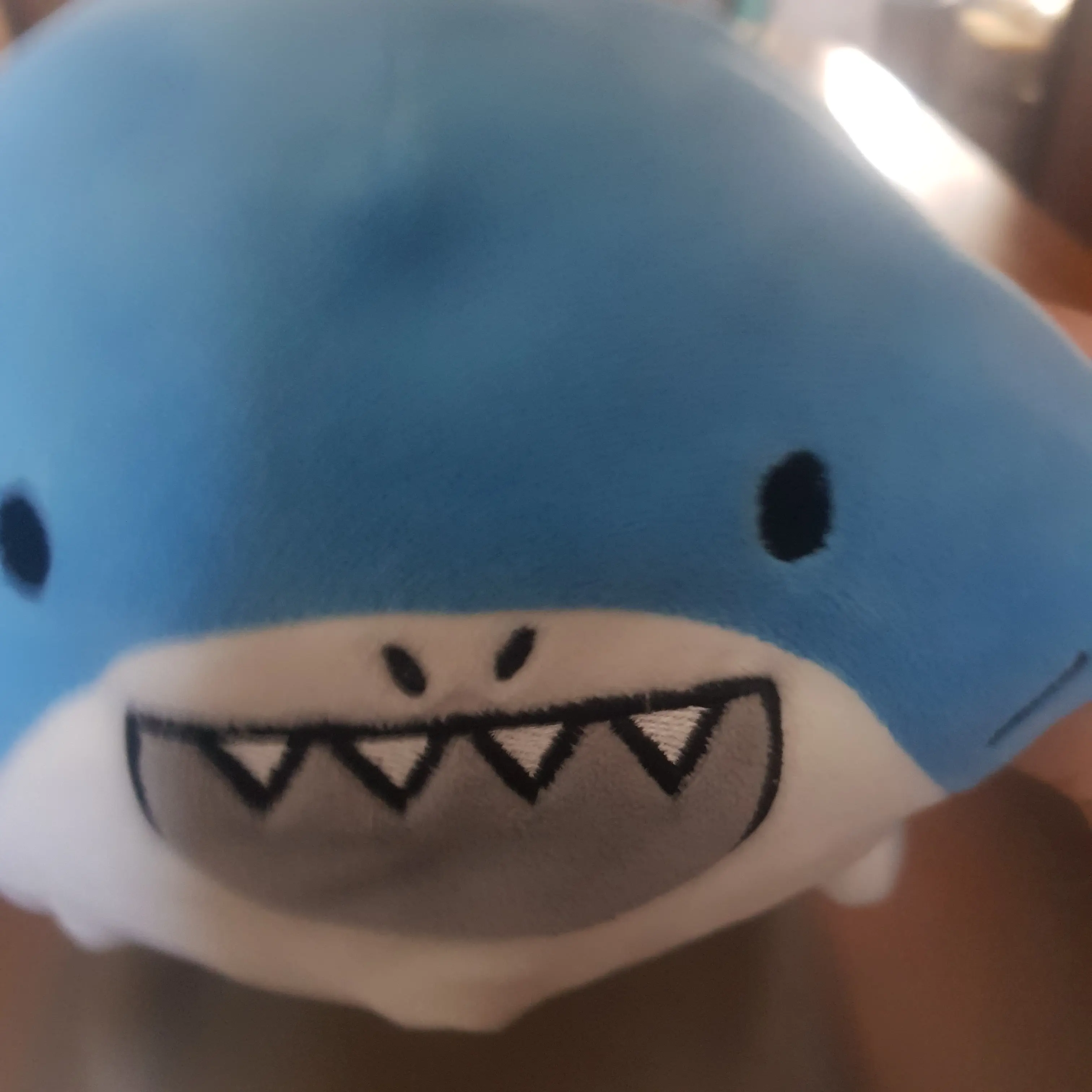 ShabbyBatch8542의 반려 상어