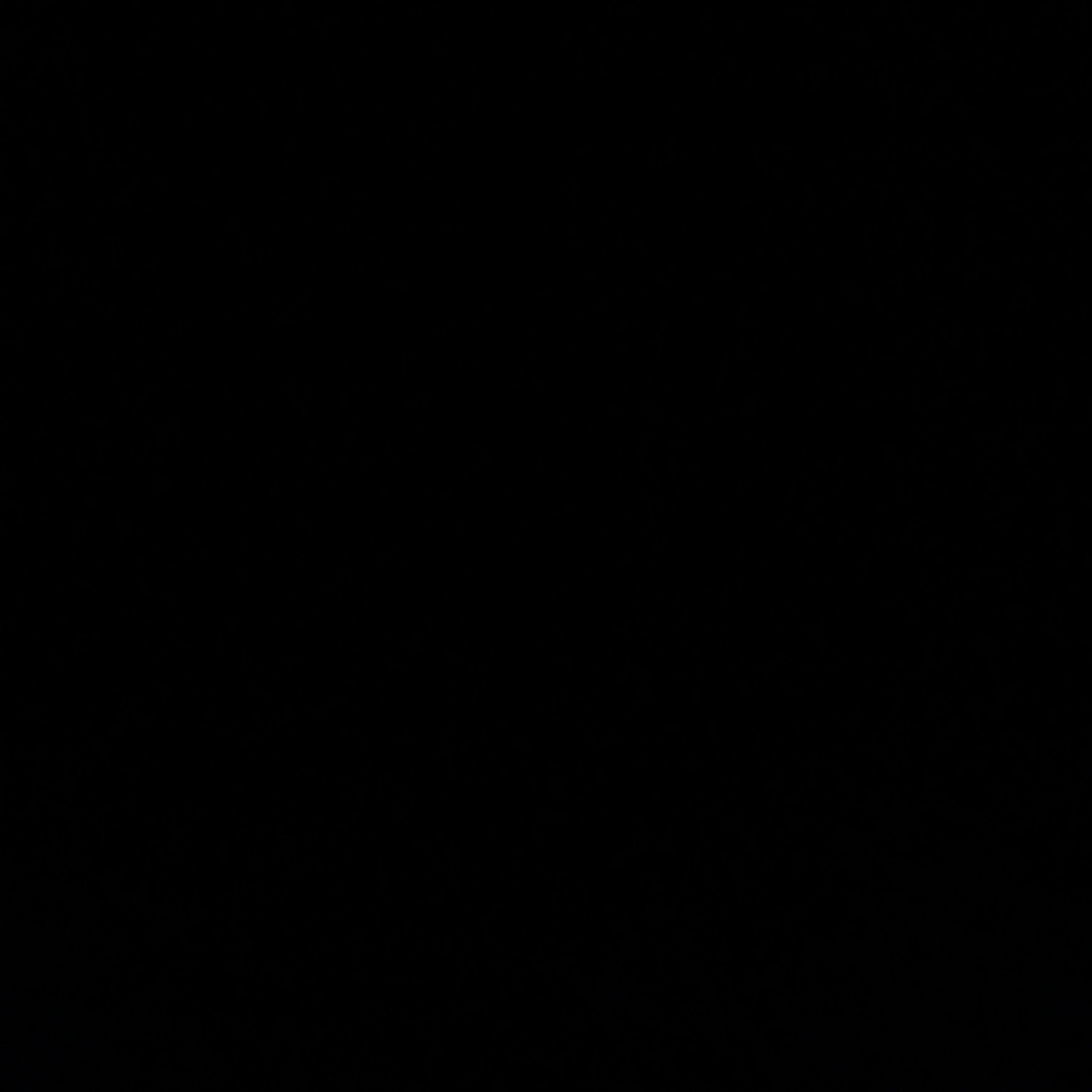 윌 터너