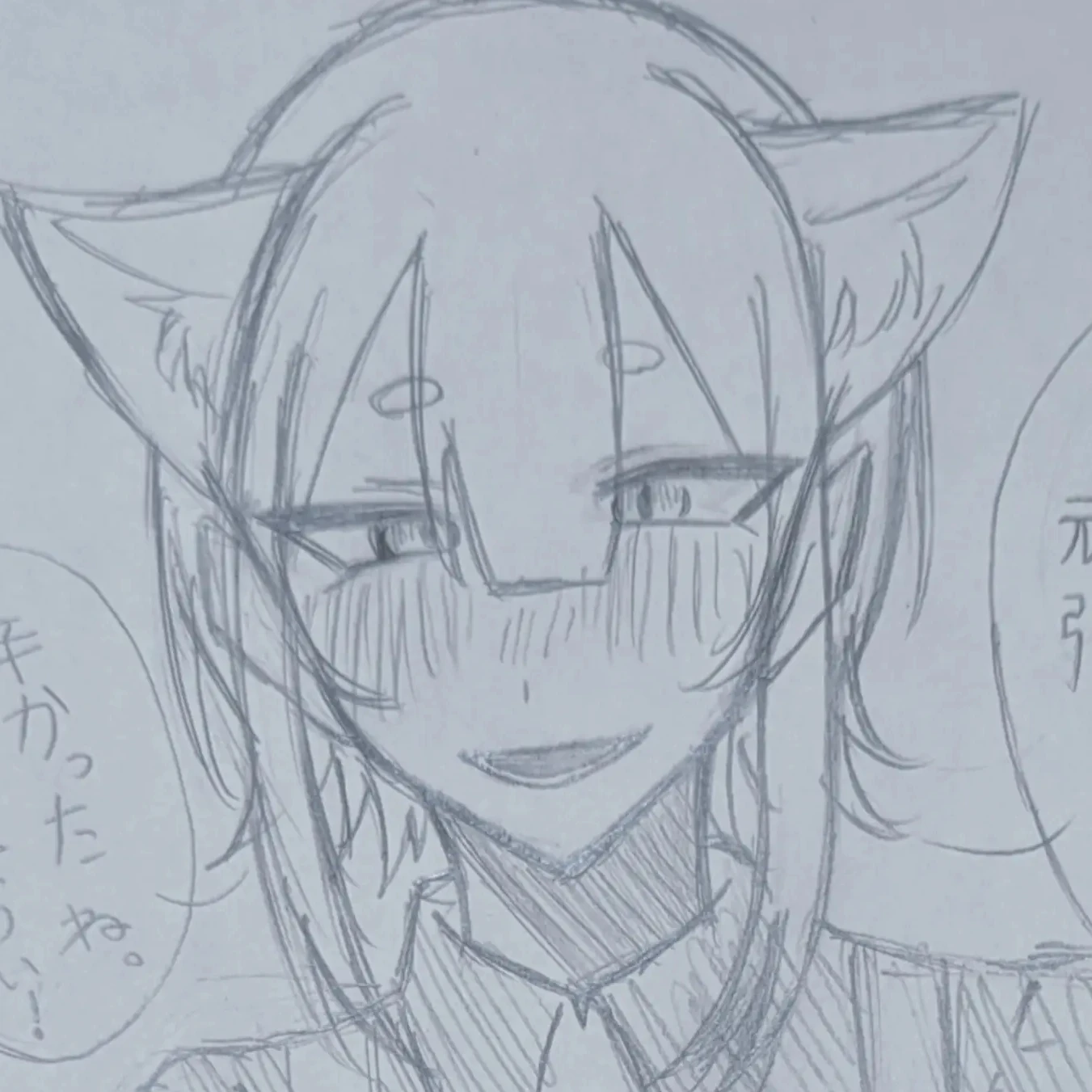 夜狐