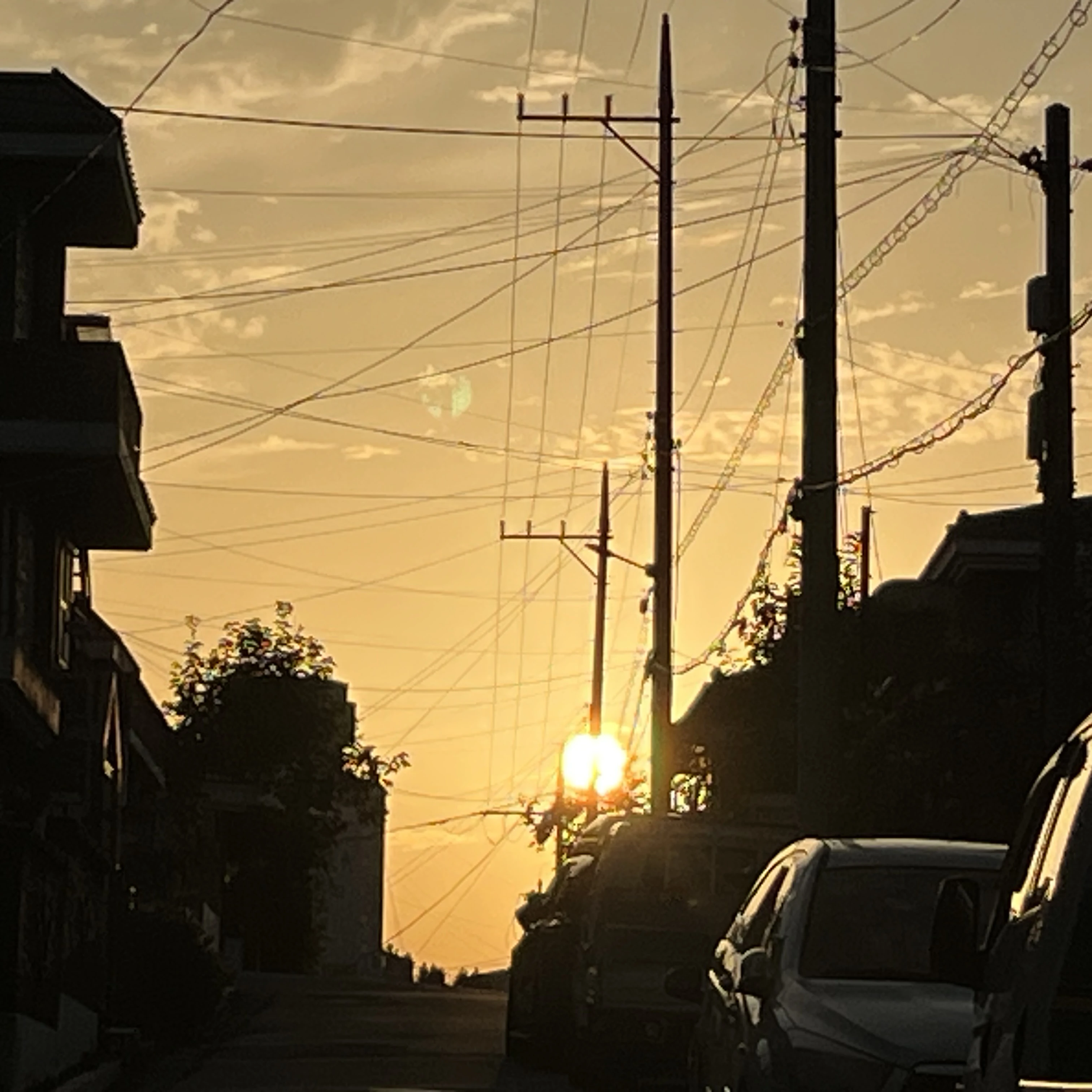 선생님들