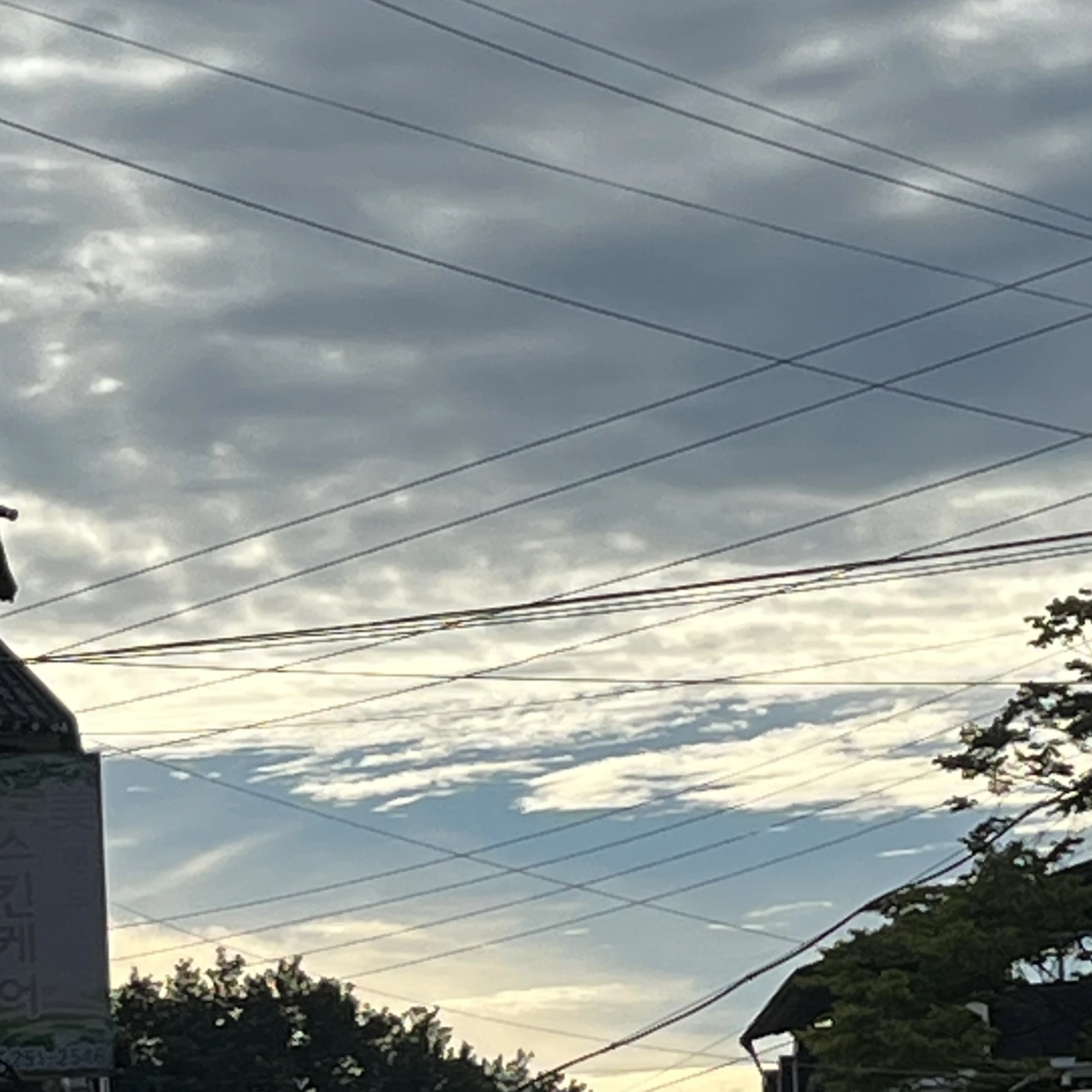 명재현