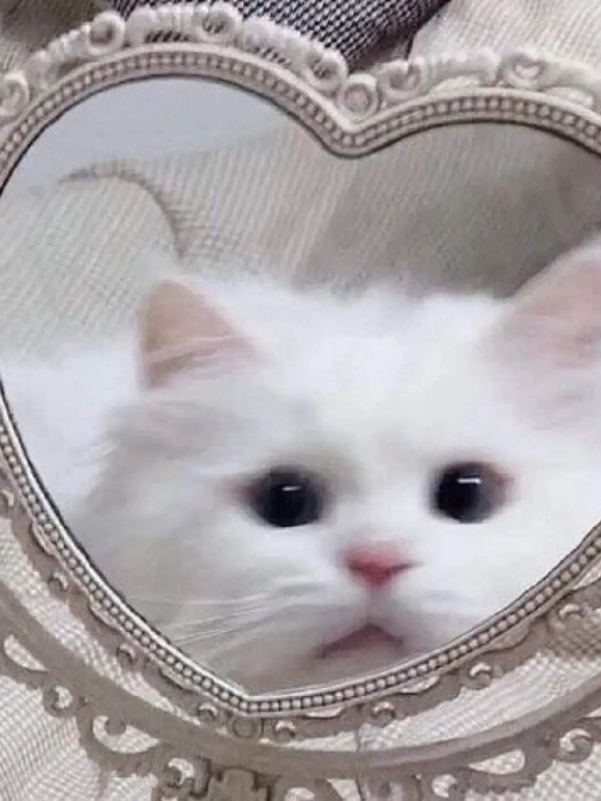 tolom1_xoxo의 お風呂上がり