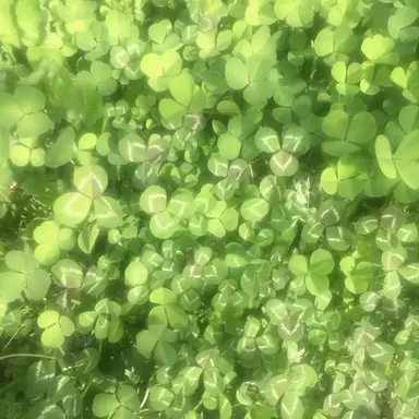 Profile image of 유기사