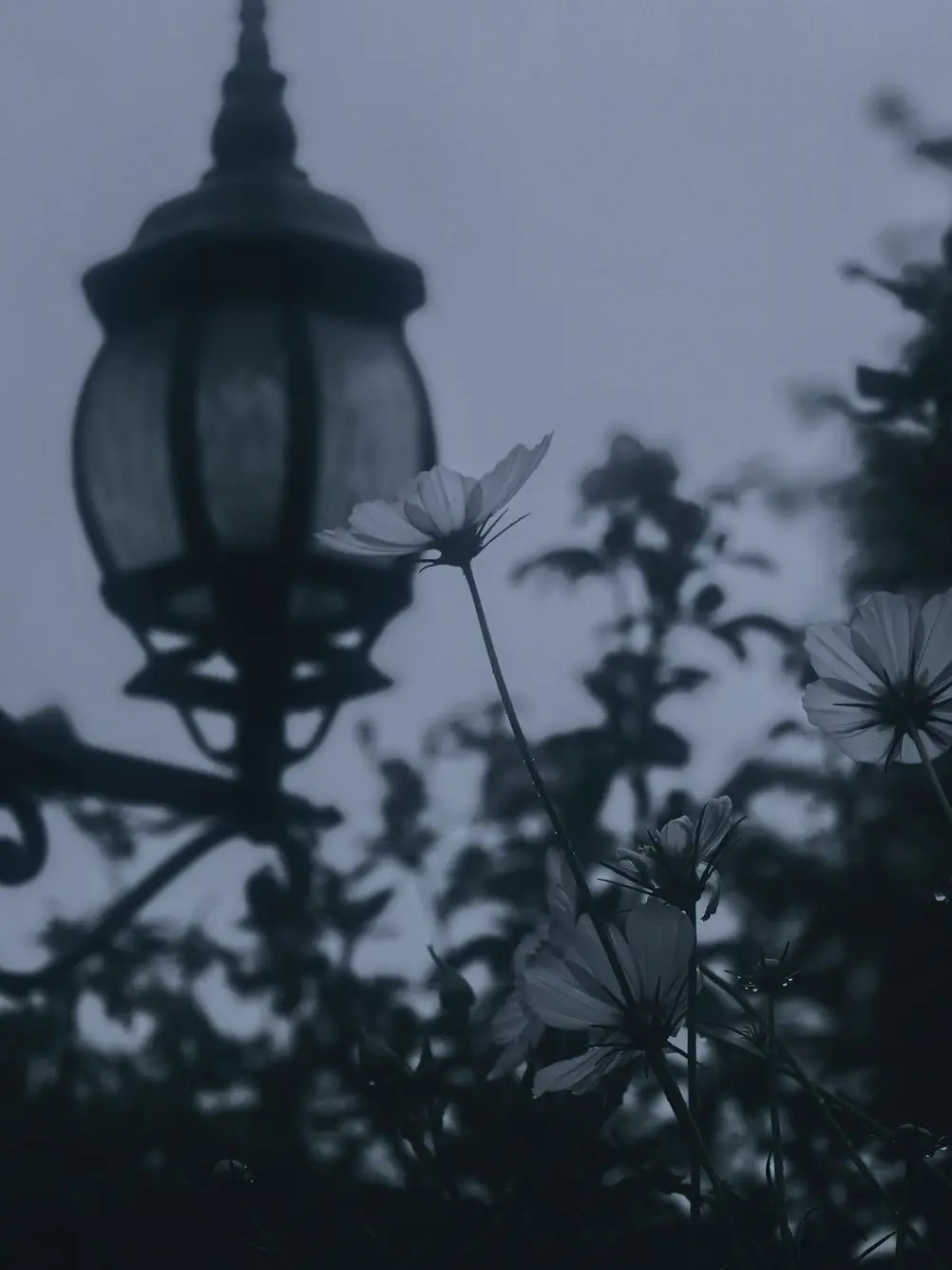 D_min의 Do you merry me ？
