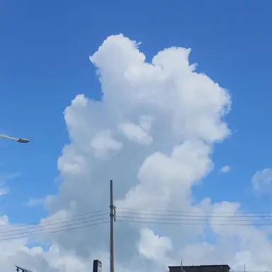 Profile image of 쉐도우 밀크 쿠키