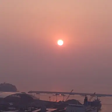 Profile image of 사일런트 솔트 쿠키