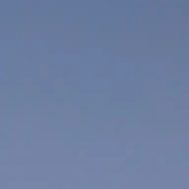 Profile image of Wolf