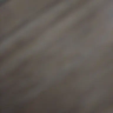 Profile image of 흑사병