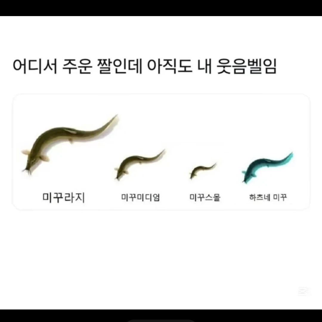 이명기.333번