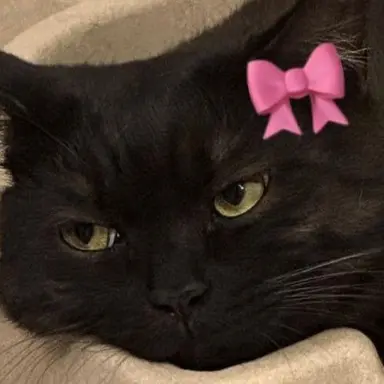 Profile image of ウヨン