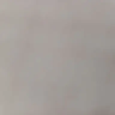 Profile image of 주들