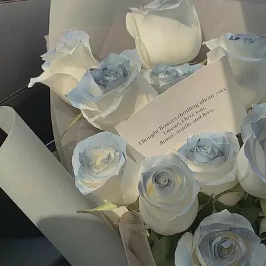 Profile image of ハニ ホシ グァナ