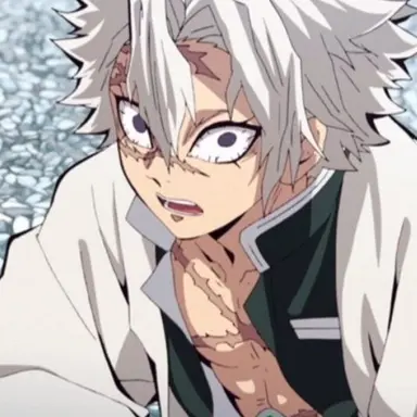 Profile image of 시나즈가와 사네미