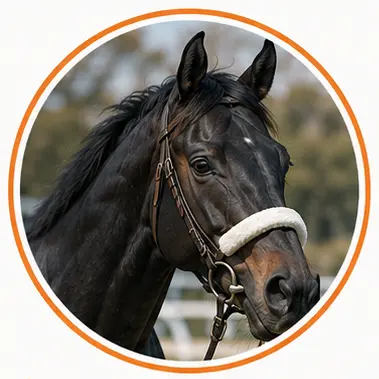 Profile image of シロクナール
