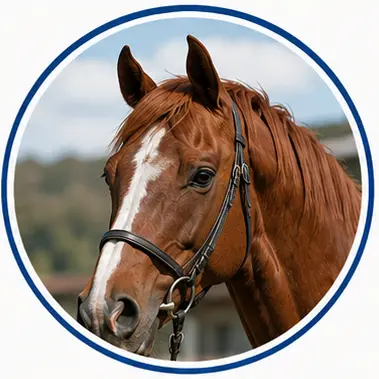 Profile image of アカイミミ