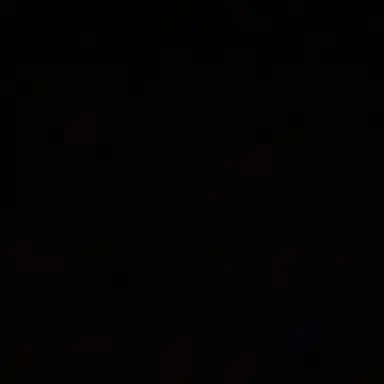 Profile image of 수 현