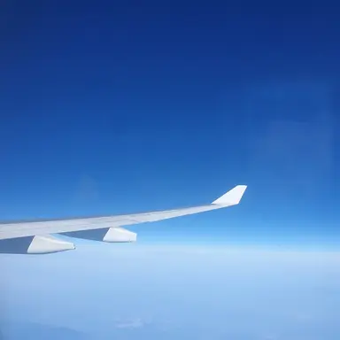 Profile image of 다크카카오쿠키