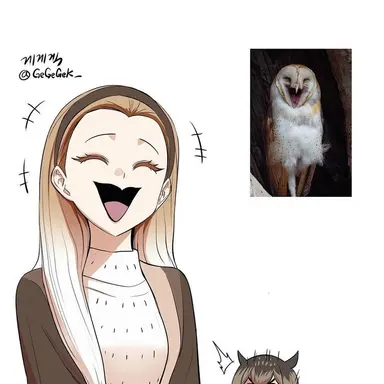 Profile image of 가면 올빼미
