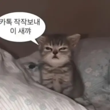 Profile image of 말을 하는고냥이씨