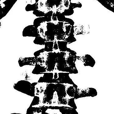 Profile image of 금성제