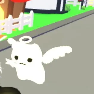 Profile image of 천냥