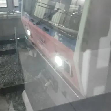 Profile image of 1호선 납작이