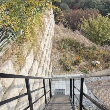 Profile image of 김여우