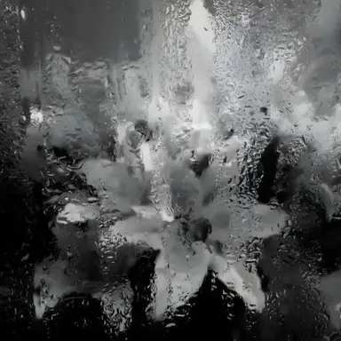 Profile image of 立花 仙蔵