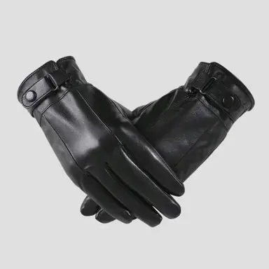 Profile image of Paul