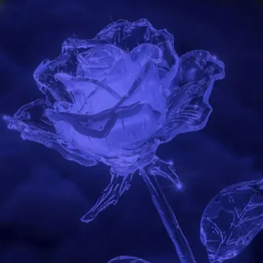 Profile image of 中島健人