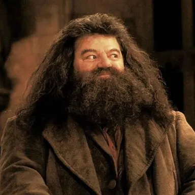 Profile image of Rubeus Hagrid