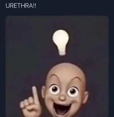 FloralHorse4280의 Urethra